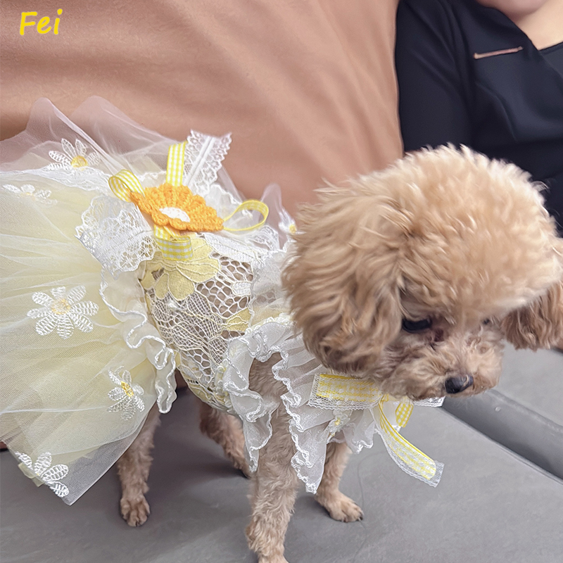 Summer Yellow Daisy Flower Pet - đánh giá và giá Soft Summer Yellow Clothing