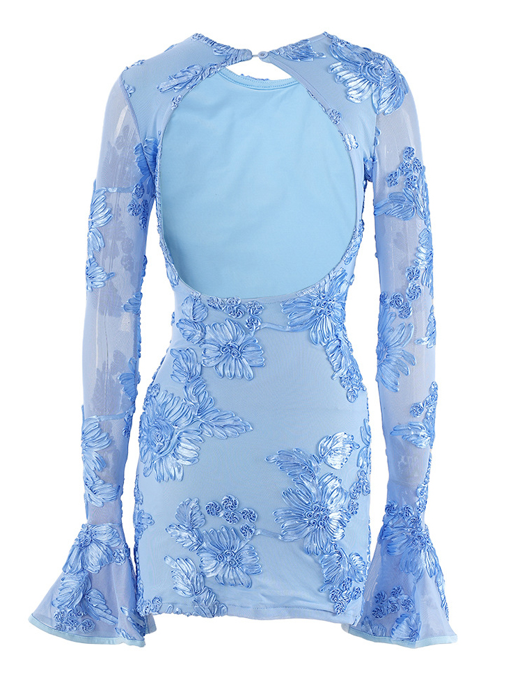 Beyprern Glam Backless Rose Pi - đánh giá và giá Zara Summer Clothing For Women