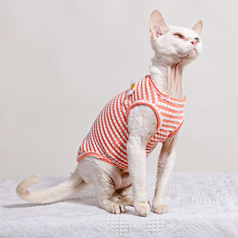 Summer T-Shirt for Sphynx Cat  - đánh giá và giá Soft Summer Yellow Clothing