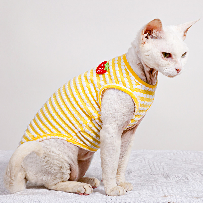Summer T-Shirt for Sphynx Cat  - đánh giá và giá Soft Summer Yellow Clothing
