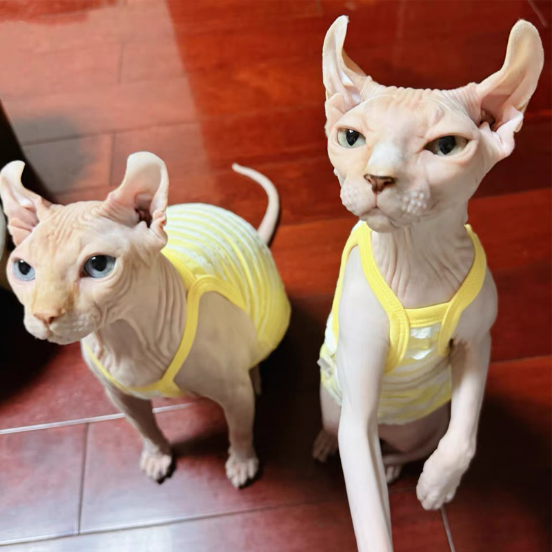 Spring Summer Cotton T-Shirt f - đánh giá và giá Soft Summer Yellow Clothing