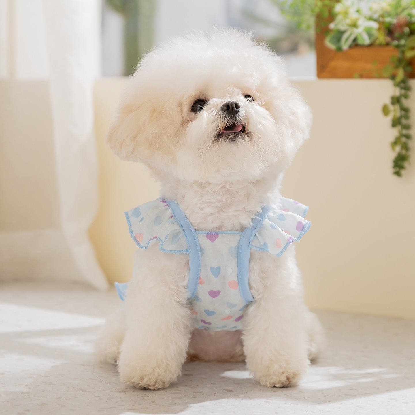 Yellow Love Dog Clothes Summer - đánh giá và giá Soft Summer Yellow Clothing