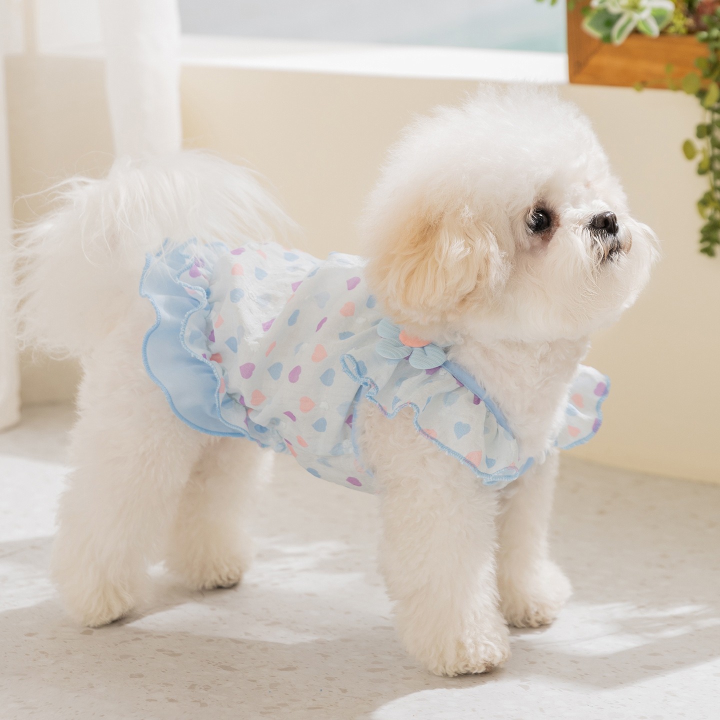 Yellow Love Dog Clothes Summer - đánh giá và giá Soft Summer Yellow Clothing