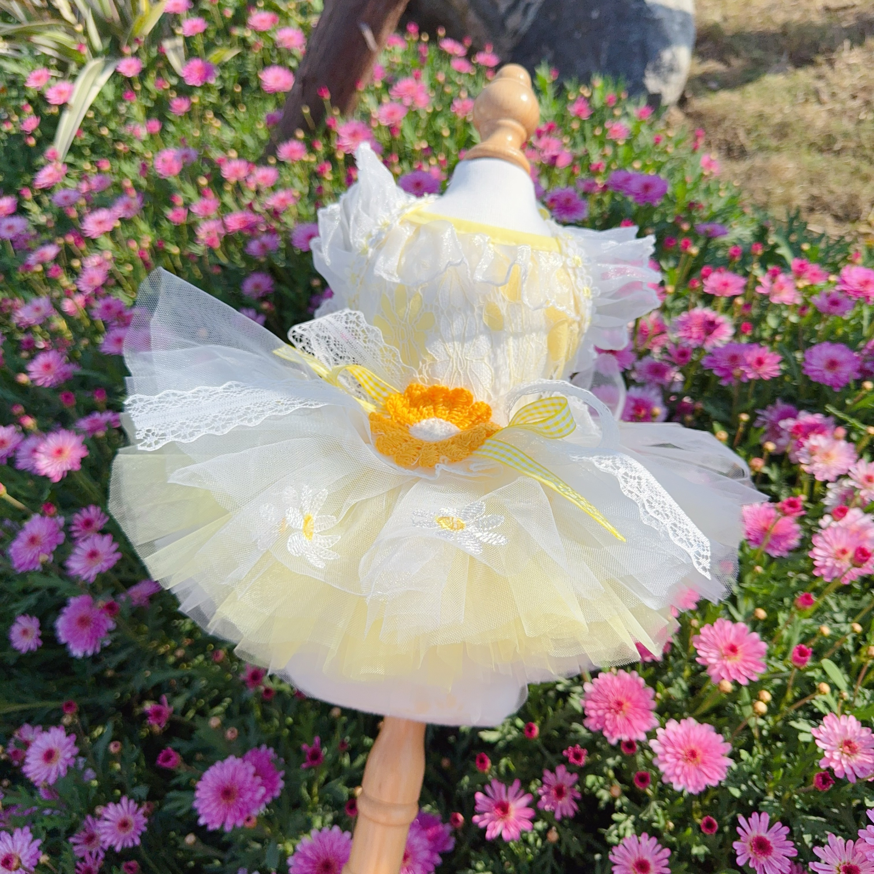 Summer Yellow Daisy Flower Pet - đánh giá và giá Soft Summer Yellow Clothing